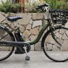 Xe Yamaha Pas Natura màu xanh