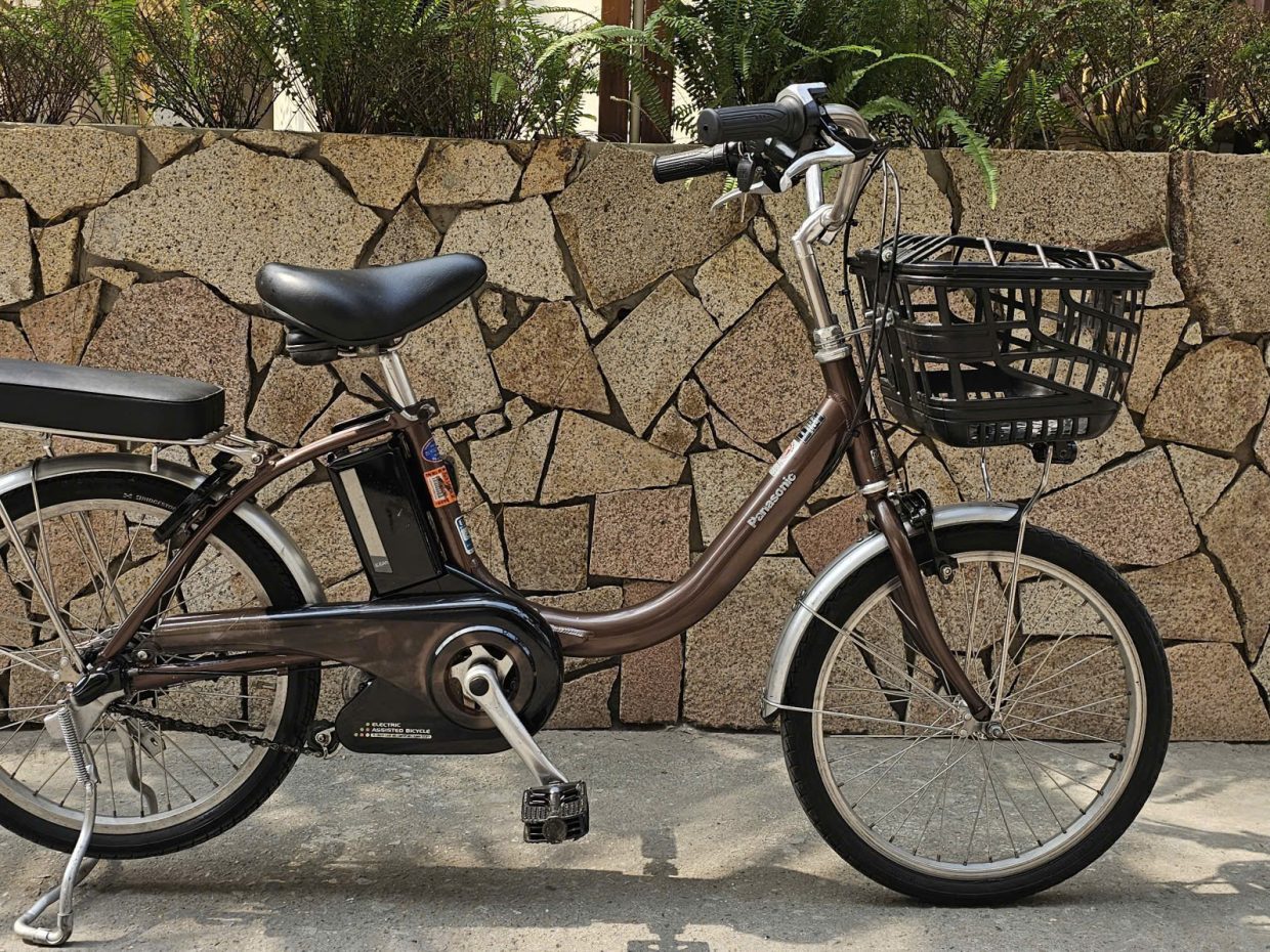 Xe Panasonic bánh 20inch màu cafe