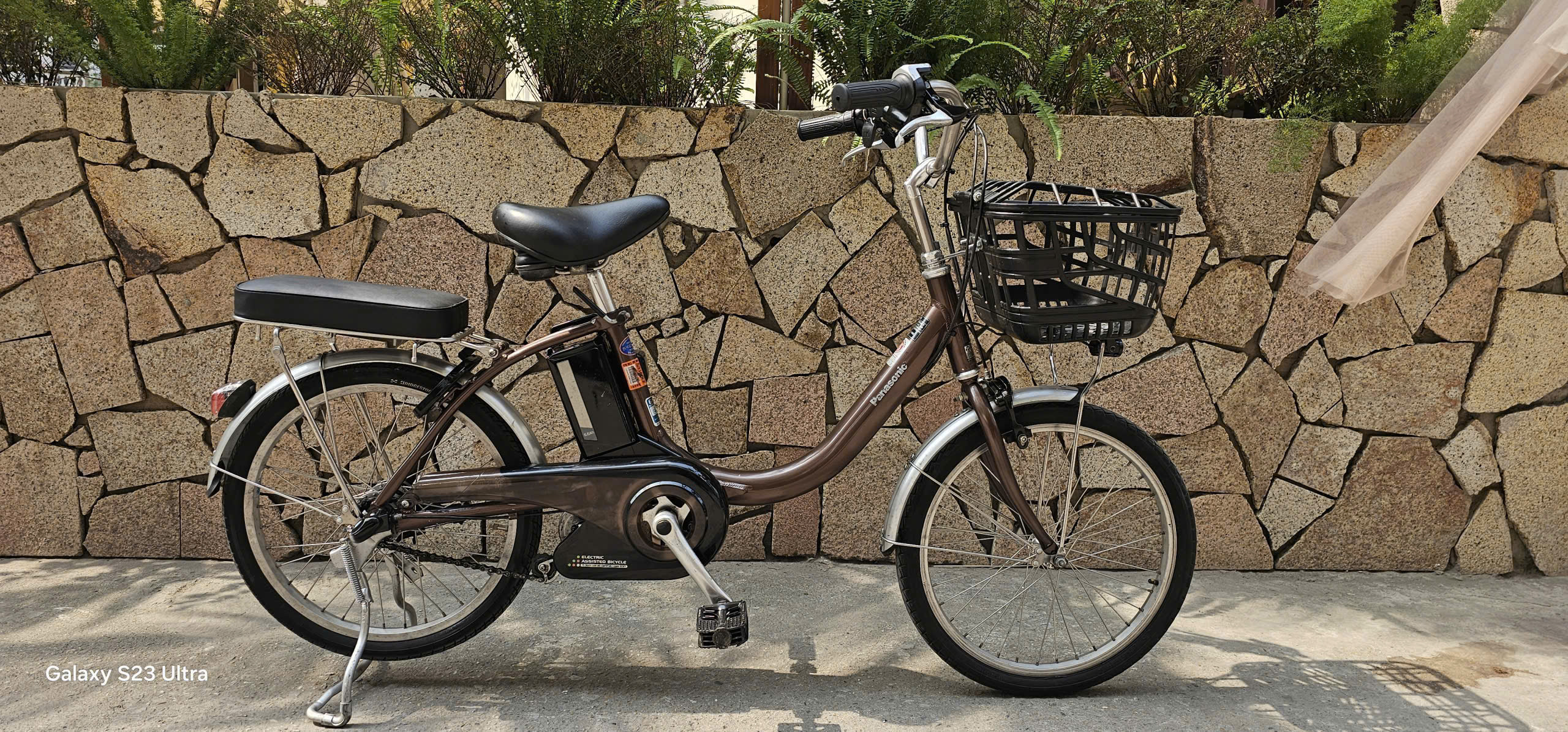 Xe Panasonic bánh 20inch màu cafe