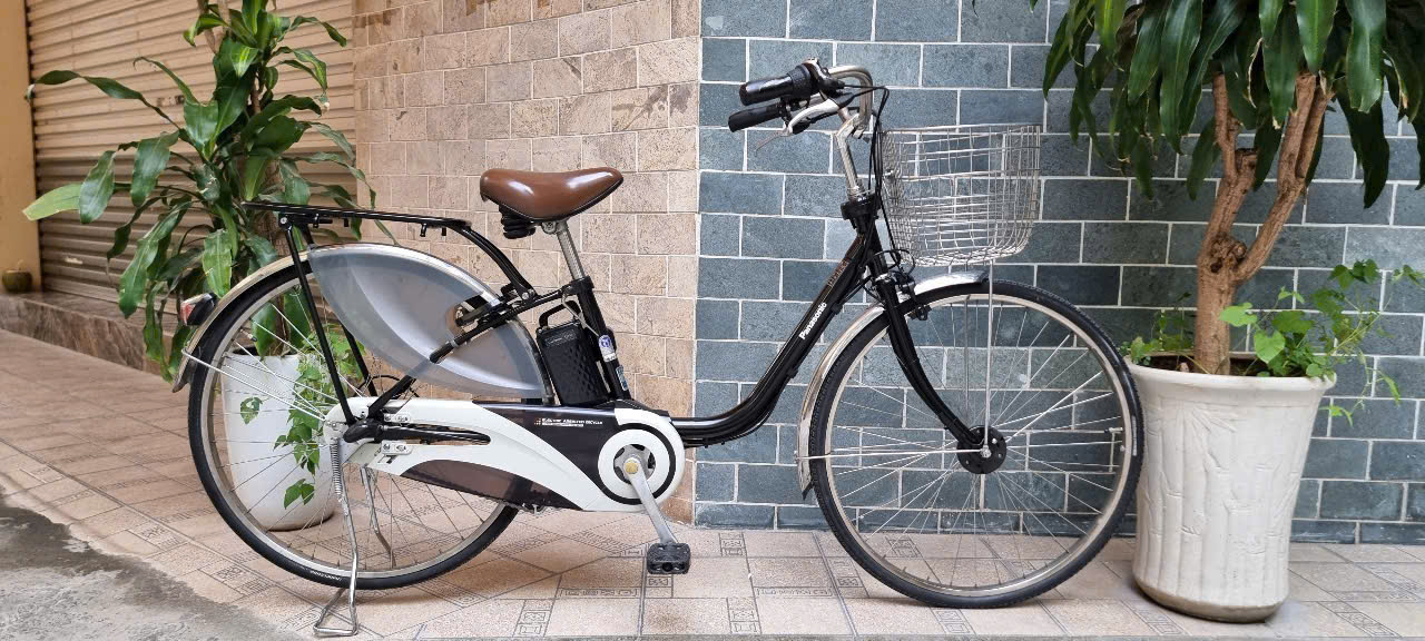 Xe Panasinic màu đen